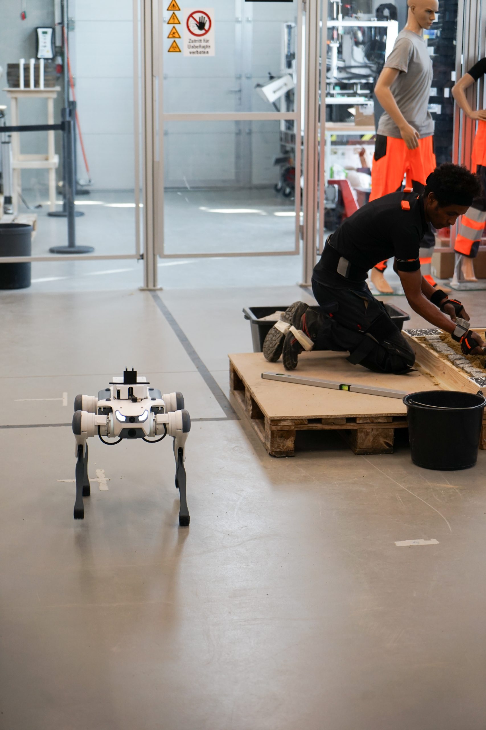 Quadruped-Roboter neben Handwerker beim Pflastern — Pilotaktion OTH Regensburg, März 2026